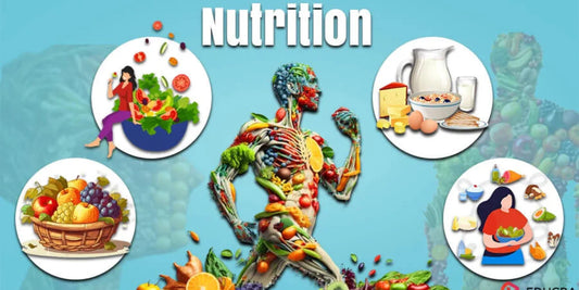 Vitamins: Essential Nutrients for Daily Life